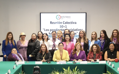 DEBEN ASEGURAR RECURSOS PARA REFORMAS CON IMPACTO PRESUPUESTAL PARA LAS MUJERES: MARCELA GUERRA